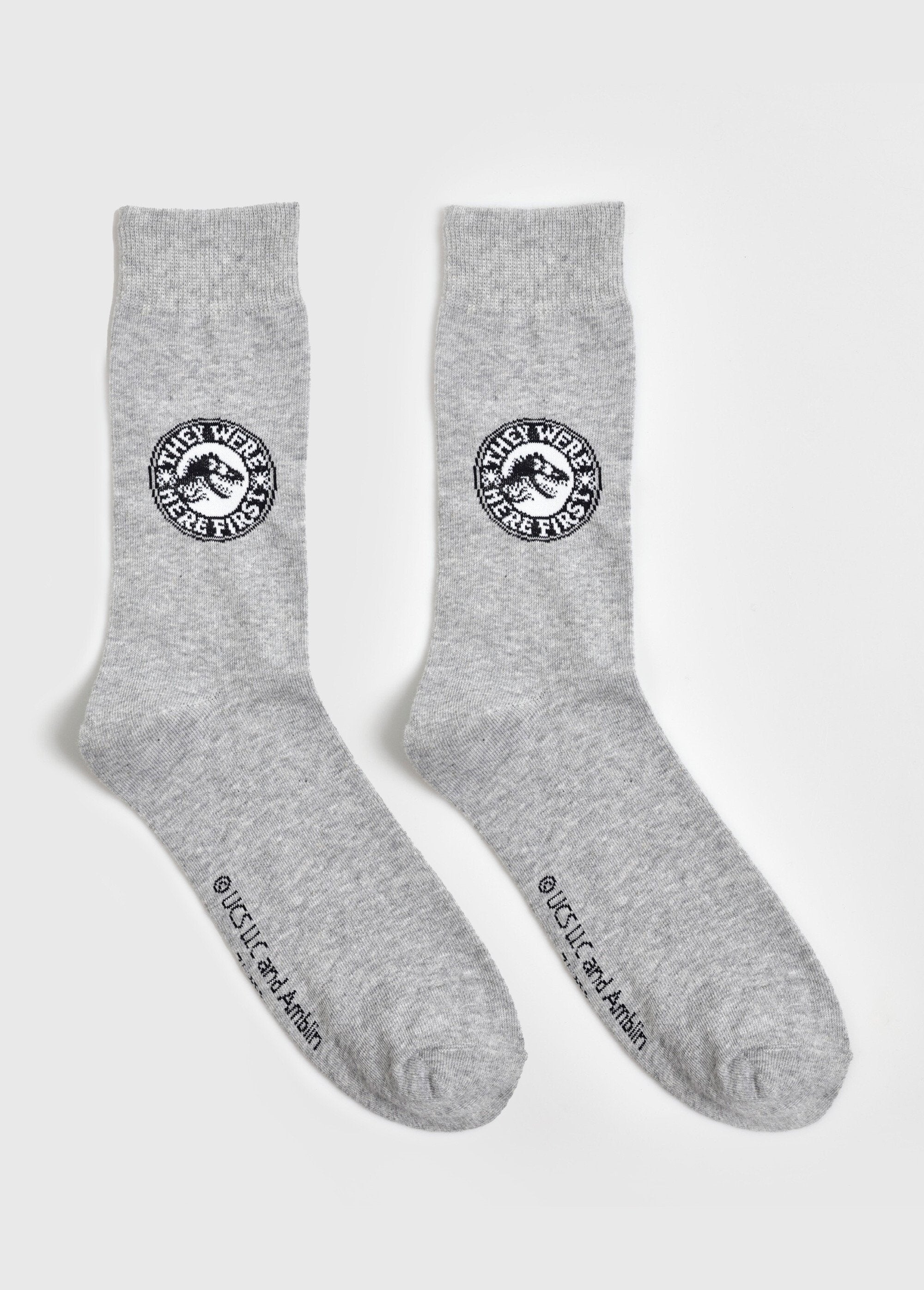 Pair_of_socks,_Jurassic_World_Gray_FA1_slim