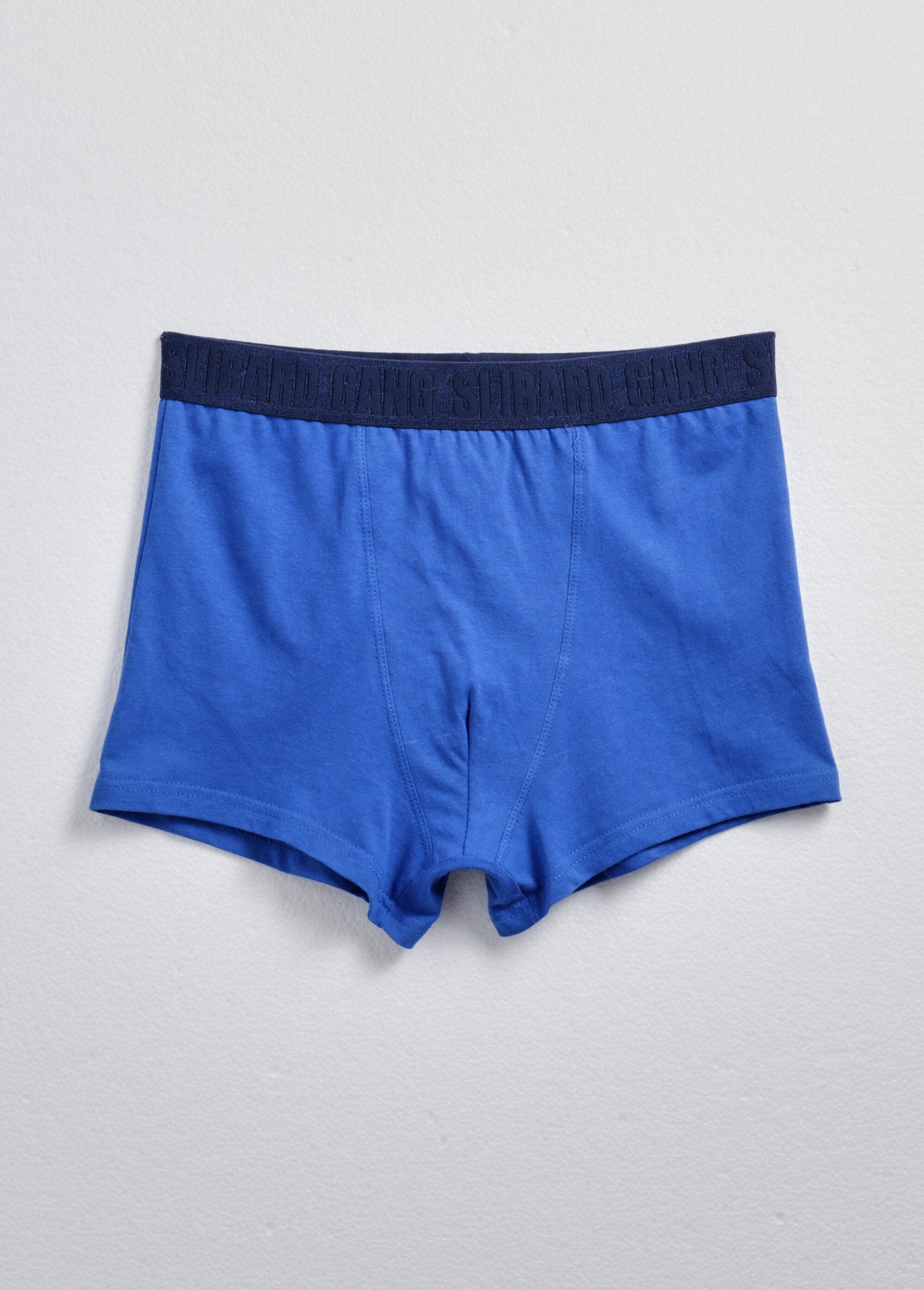 Assorted_men's_boxers,_plain_and_printed_Assorted_blue_DE1_slim