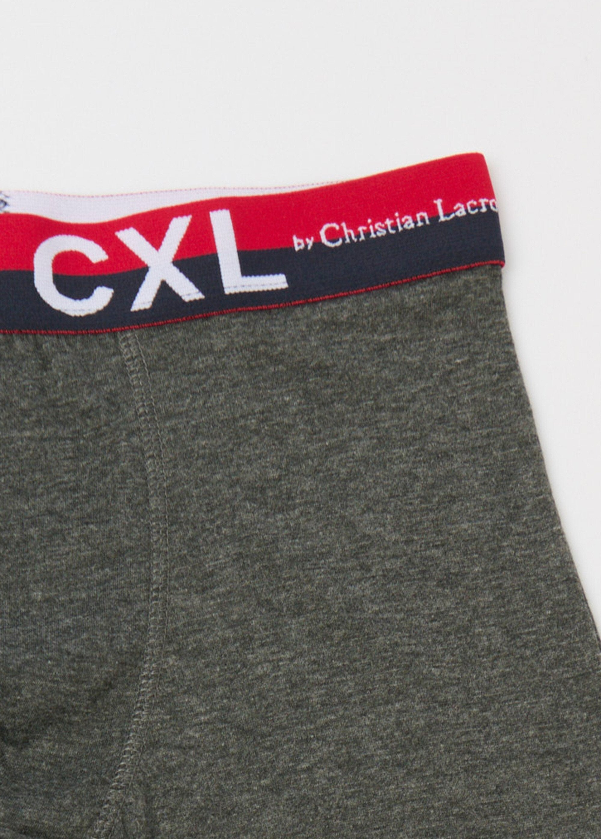 Pack_of_4_plain_boxers_with_logo_waistband_Dark_gray_DE1_slim
