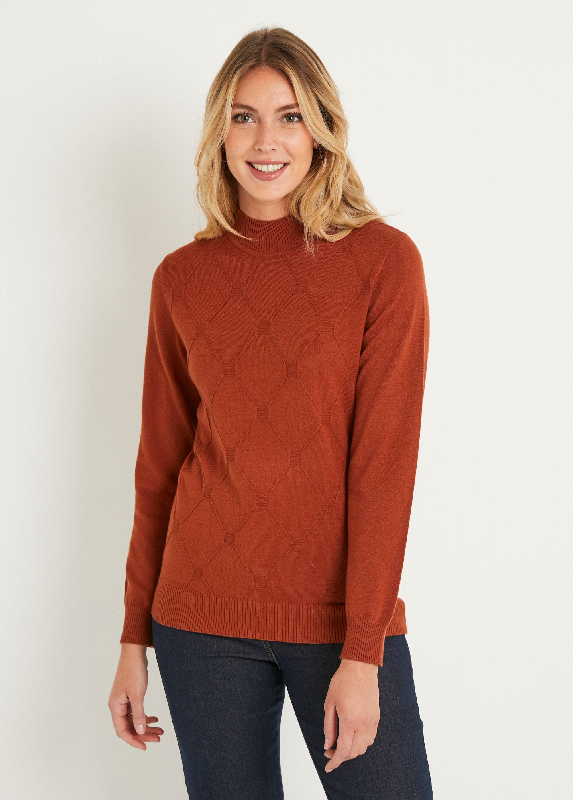 Soft,_plain_sweater_with_modal_blend_stand-up_collar_Hazelnut_FA1_slim